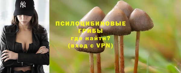 ALPHA PVP Аркадак
